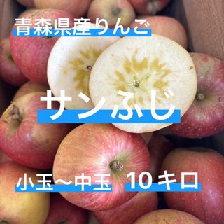 青森県産 りんご 蜜入り サンふじ 10キロ(フルーツ)