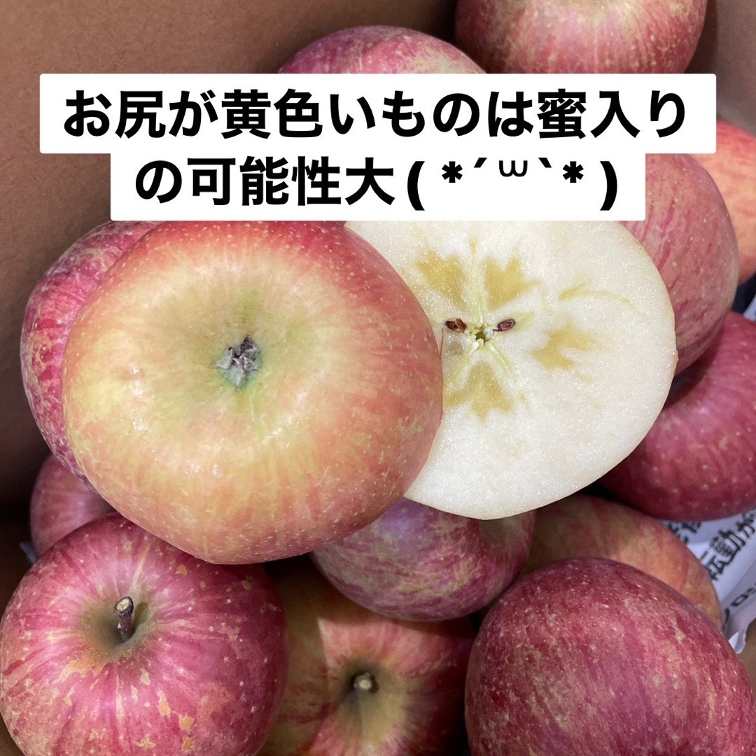 青森県産 りんご 蜜入り サンふじ 6キロ 食品/飲料/酒の食品(フルーツ)の商品写真