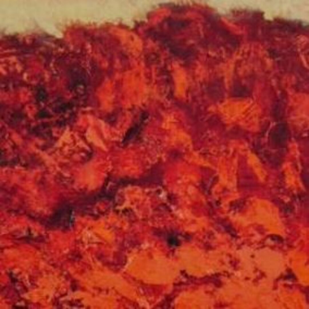 三岸節子、「花 ヴェロンにて」、厳選、希少画集・額装画、人気 三岸節子、「花 ヴェロンにて」、厳選、希少画集・額装画、人気