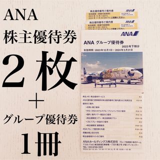 エーエヌエー(ゼンニッポンクウユ)(ANA(全日本空輸))のANA 全日空 株主優待券 2枚(その他)