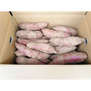 茨城県産　サツマイモ　紅はるかB品10kg(野菜)