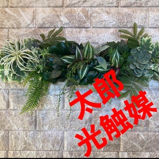 光触媒　人工観葉植物　ウォールグリーン　フェイクグリーン　壁掛け5046(壁掛けミラー)