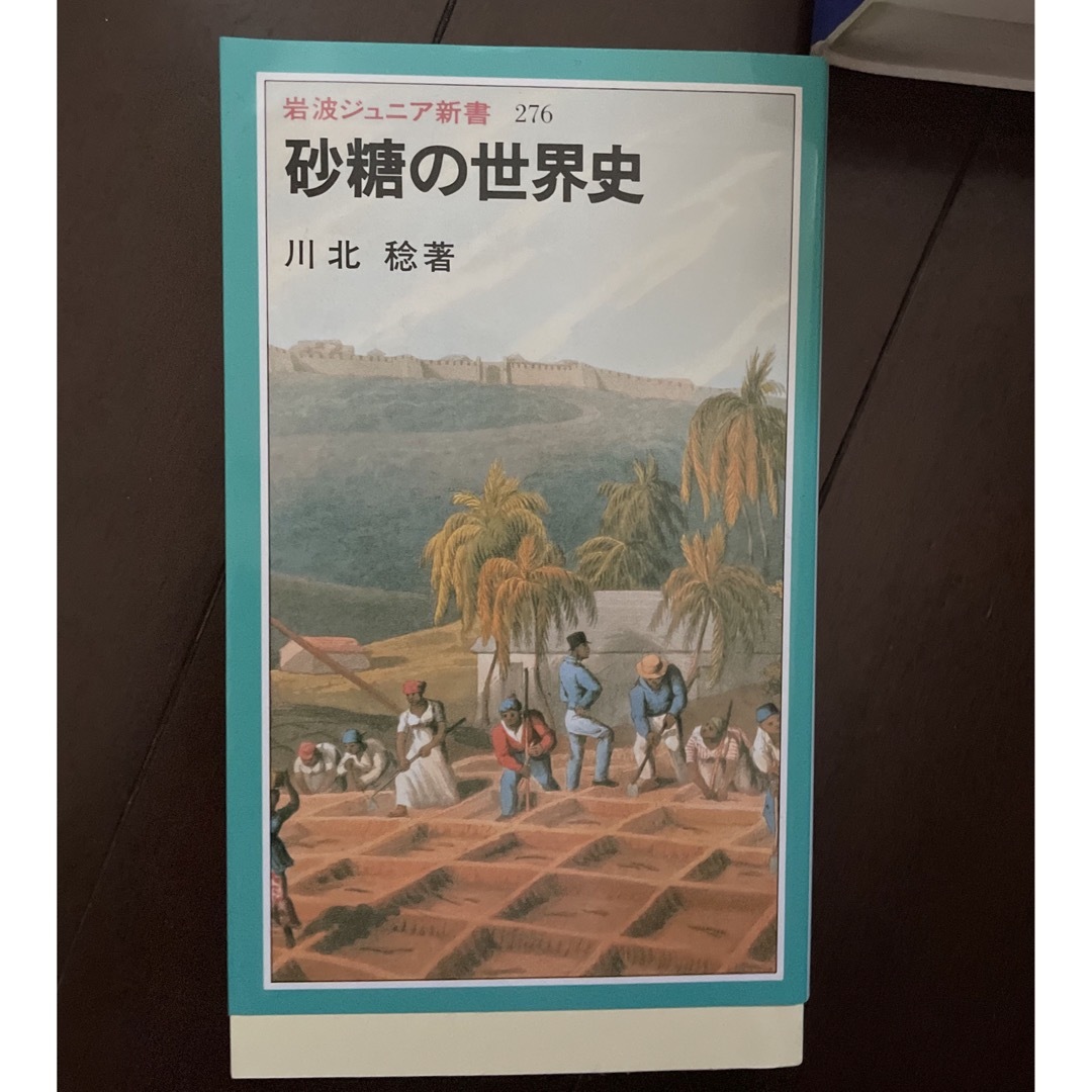 岩波書店(イワナミショテン)の岩波ジュニア新書 砂糖の世界史 エンタメ/ホビーの本(人文/社会)の商品写真