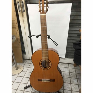 新品販売価格110000円　総単板　マルチネス MGC-110S ギター (クラシックギター)