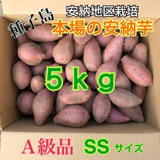 種子島　農家直送！安納地区の安納芋　SS 5キロ　A級品(野菜)