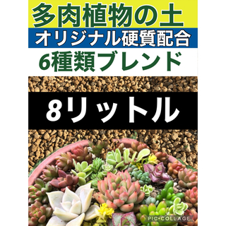 多肉植物の土8リットル　アガベ塊根サボテンエケベリア(その他)