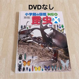 小学館の図鑑 NEO 昆虫 新版 DVD無し(絵本/児童書)