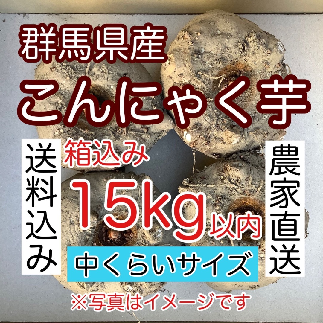 こんにゃく【群馬県産】こんにゃく芋　箱込み15kg以内　手作りこんにゃく用【中サイズ】