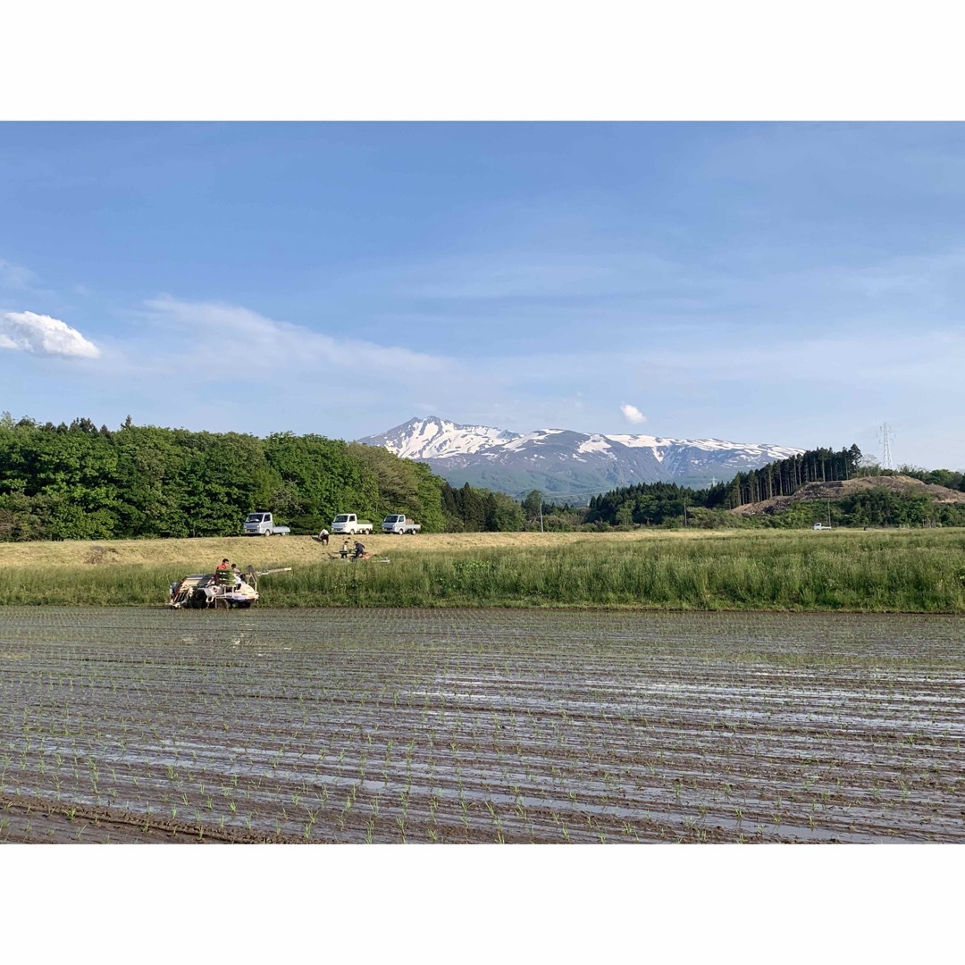 ★令和5年 ‪新米  ひとめぼれ 20kg  一等米級 秋田県産 産地直送★ 食品/飲料/酒の食品(米/穀物)の商品写真