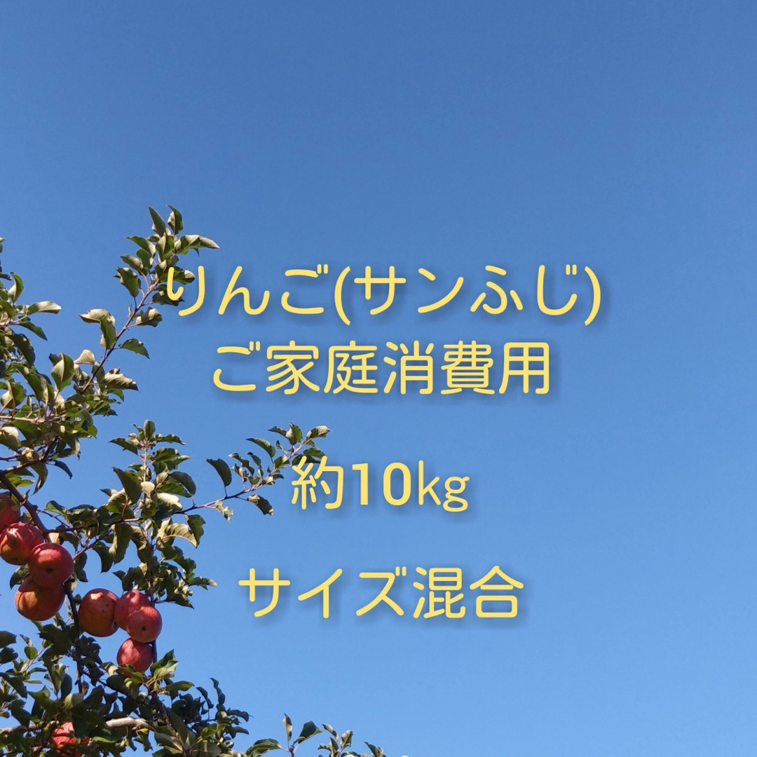 りんご(サンふじ)訳ありご家庭消費用 約10kg 食品/飲料/酒の食品(フルーツ)の商品写真