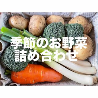 季節のお野菜詰め合わせ コンパクトボックス 愛媛県産(野菜)