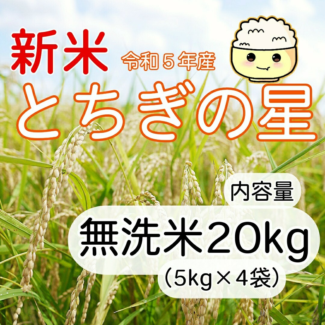 農家直送新米 とちぎの星 無洗米 20kg ご購入後に精米します！
