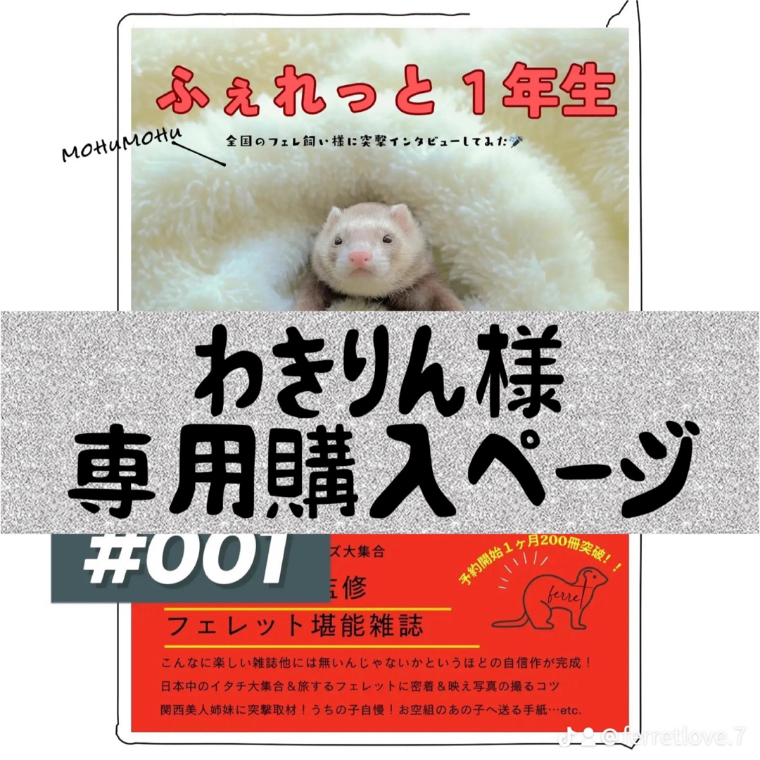 ふぇれっと1年生【わきりん様専用購入ページ】 エンタメ/ホビーの雑誌(専門誌)の商品写真