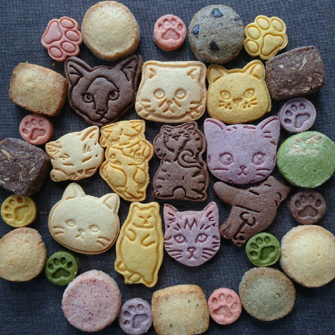 11匹の可愛いネコさんクッキーセット 食品/飲料/酒の食品(菓子/デザート)の商品写真