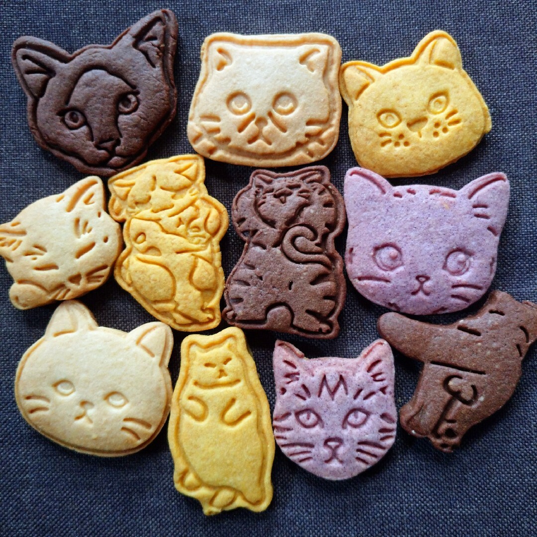 11匹の可愛いネコさんクッキーセット 食品/飲料/酒の食品(菓子/デザート)の商品写真