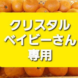 クリスタルベイビーさん専用　訳ありみかん１０ｋｇ(フルーツ)