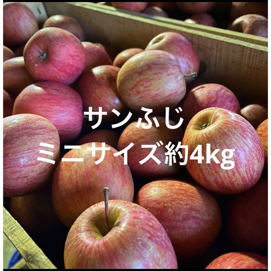 産地直送　サンふじ　青森県産　りんご　訳あり 食品/飲料/酒の食品(フルーツ)の商品写真