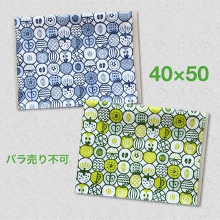 ☆給食ランチョンマット 北欧風フルーツ＊ブルーグレー×グリーン 2枚セット5(外出用品)