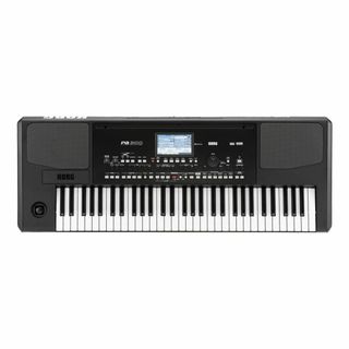 コルグ(KORG)の新品未開封 KORG コルグ Pa300 61鍵 キーボード シンセサイザー(キーボード/シンセサイザー)