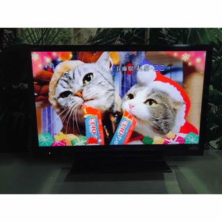 アクオス(AQUOS)のAQUOSテレビ３２型ＬＥＤ　タイムセールざんす。(テレビ)