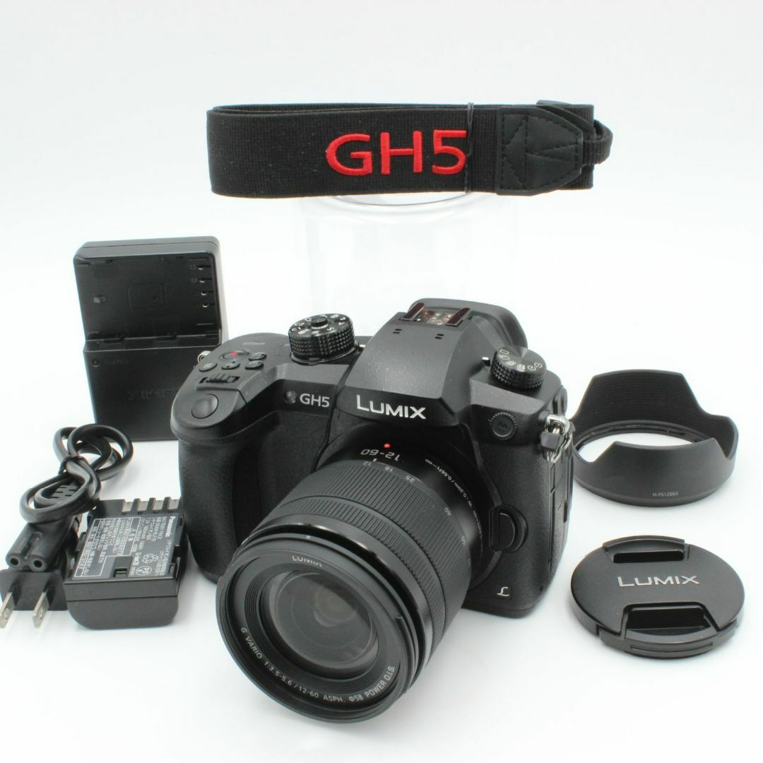 ショット数2419 極美品 パナソニック DC-GH5 12-60 レンズキット