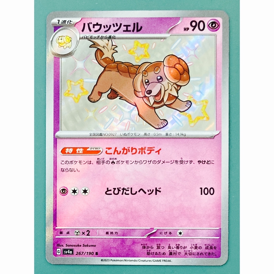 ポケモン(ポケモン)のポケモンカード シャイニートレジャー バウッツェル S 色違い エンタメ/ホビーのトレーディングカード(シングルカード)の商品写真