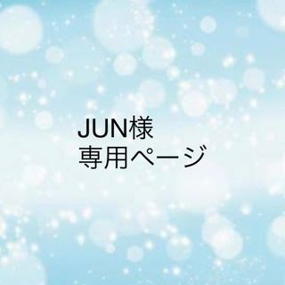 JUN様専用です(その他)