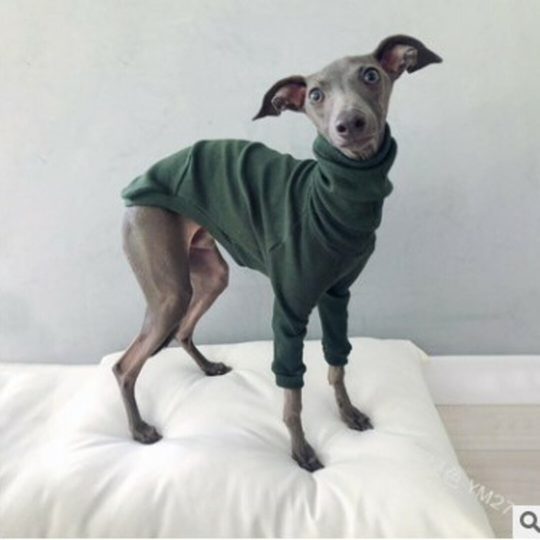 新品 2色セット犬服 ドッグウェアイタリアングレーハウンド その他のペット用品(犬)の商品写真