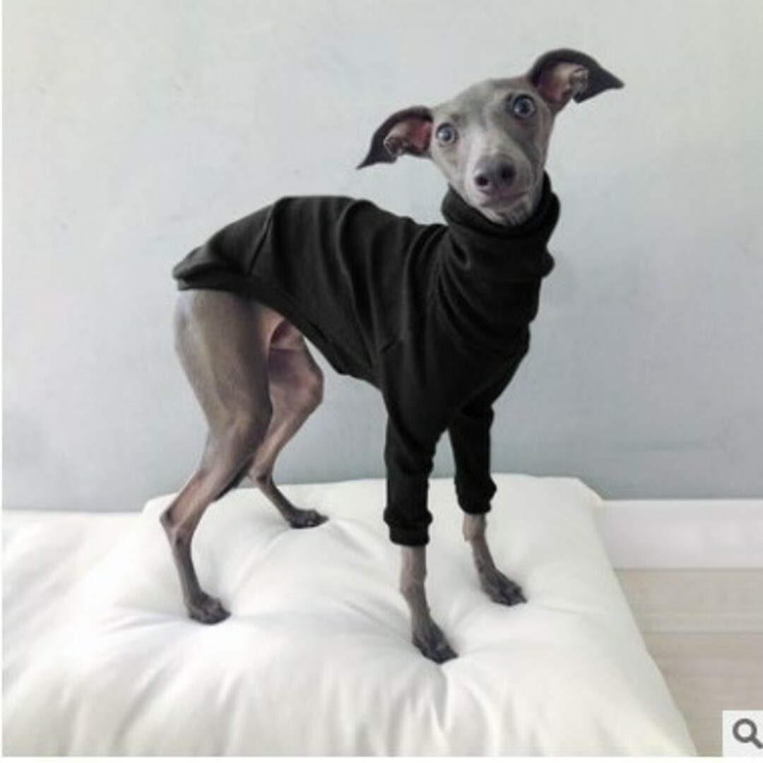 新品 2色セット犬服 ドッグウェアイタリアングレーハウンド その他のペット用品(犬)の商品写真