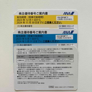 エーエヌエー(ゼンニッポンクウユ)(ANA(全日本空輸))のANA株主優待券 2枚(航空券)