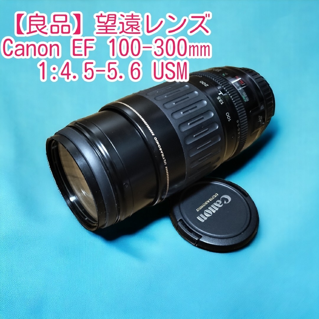 美品】キヤノン Canon 望遠レンズ EF100-300mm 美品】キヤノン Canon 望遠レンズ EF100-300mm