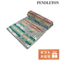【新品】ペンドルトン PENDLETON 小物 ユニセックス XB233
