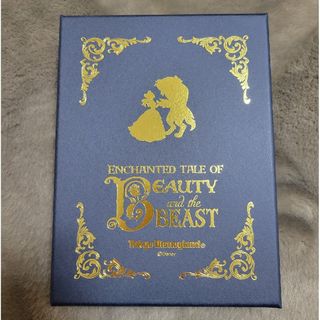 ディズニー(Disney)の非売品！未使用！　ディズニーランド　美女と野獣　ブックカバー　魔法のものがたり(ブックカバー)