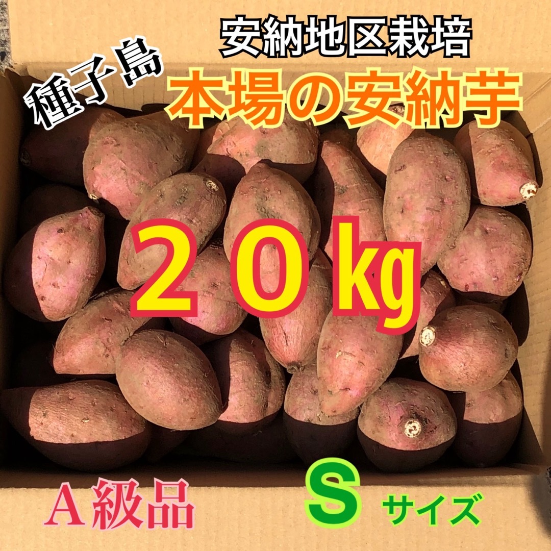 直販割引 種子島 農家直送！安納地区の安納芋 S 20キロ A級品 | cmp