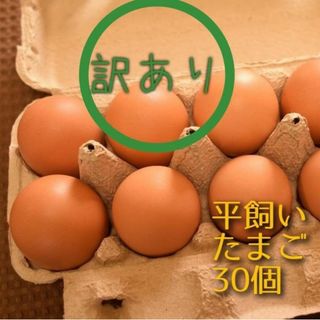 訳あり　平飼い卵　10個入り3パック 国産もみじの卵　新鮮　産みたて(野菜)