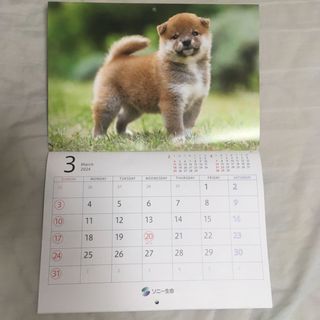 ゆかいな子犬 2024年 カレンダー(印刷物)
