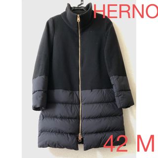 ヘルノ(HERNO)のデラックスクリーニング済みHERNOダウンコート42 M(ダウンコート)