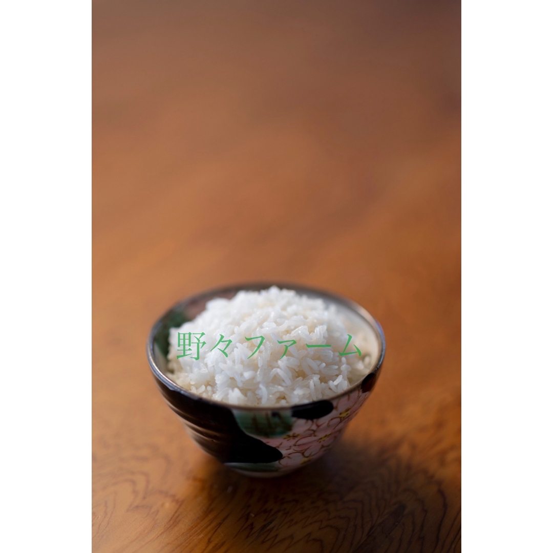 雪若丸　20kg 中米　業務米　令和5年 山形　特別栽培米食品/飲料/酒