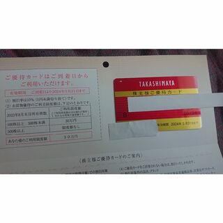 タカシマヤ(髙島屋)の落葉+最新 高島屋 株主様ご優待カード 割引率10% 限度額30万円 女性名義(その他)