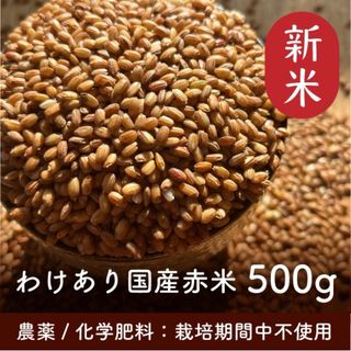 赤米 500g 令和5年産 家庭栽培 無農薬 無化学肥料 わけあり(米/穀物)