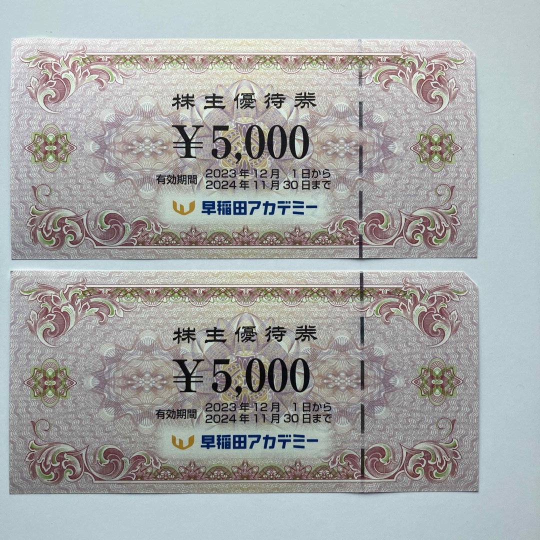 在庫あり/即出荷可】 早稲田アカデミー株主優待券 5000円2枚