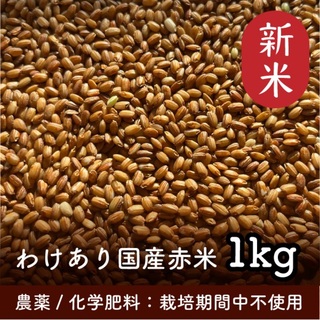 赤米1kg 令和5年産 家庭栽培 無農薬 わけあり(米/穀物)