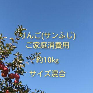 りんご(サンふじ)訳ありご家庭消費用 約10kg(フルーツ)