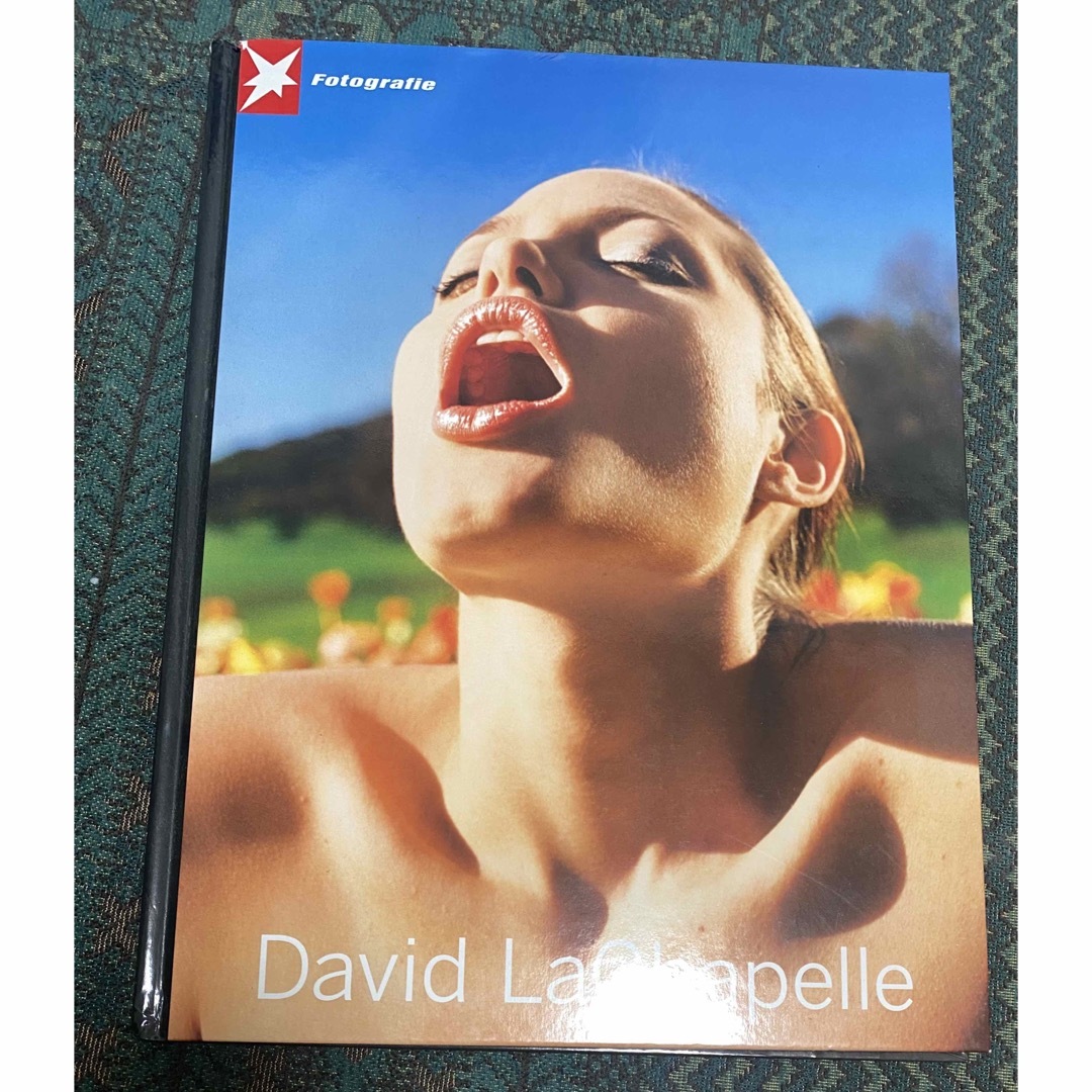 David LaChapelle デヴィッド ラシャペル 写真集 エンタメ/ホビーの本(アート/エンタメ)の商品写真