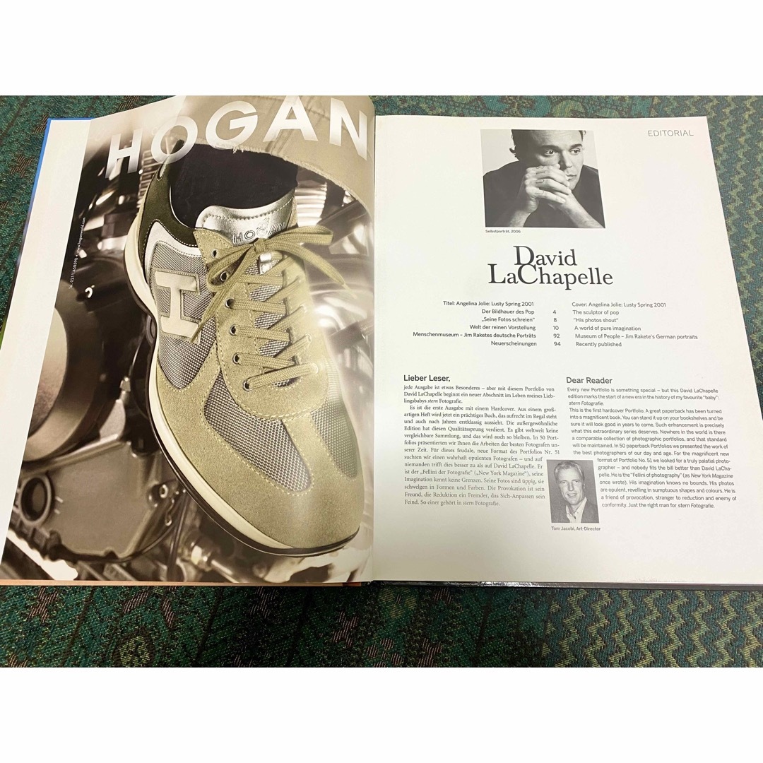 David LaChapelle デヴィッド ラシャペル 写真集 エンタメ/ホビーの本(アート/エンタメ)の商品写真
