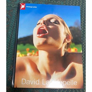 David LaChapelle デヴィッド ラシャペル 写真集(アート/エンタメ)