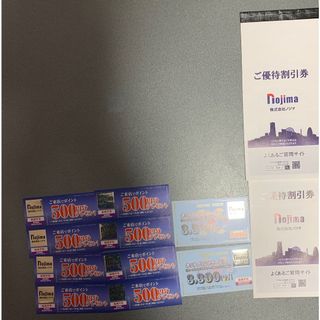 ノジマ10%割引券(上限1000円)  20枚  4000円分来店ポイント券　等(ショッピング)