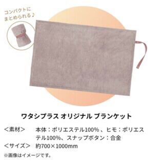 シセイドウ(SHISEIDO (資生堂))の10/21〜資生堂オンラインストア8800円以上購入で貰ったブランケット(その他)