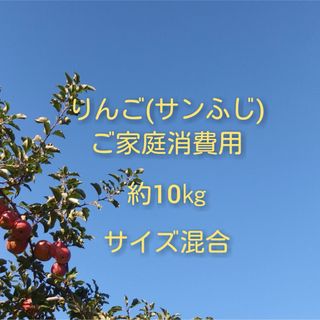 りんご(サンふじ)訳ありご家庭消費用 約10kg(フルーツ)