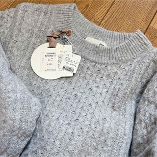 イエナ(IENA)の美品！定価22000円！jeune(ニット/セーター)